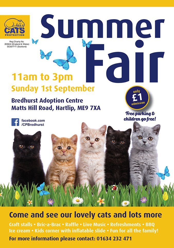 Cats Protection Bredhurst Adoption Centre & Maidstone Homing